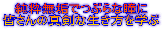 純粋無垢でつぶらな瞳に皆さんの真剣な生き方を学ぶ