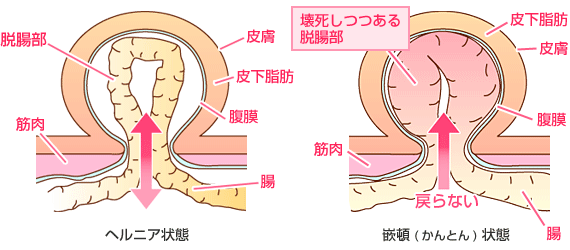 クリニック外科の画像を参照