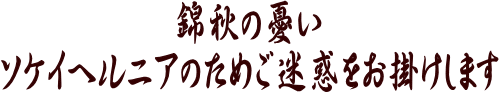 錦秋の憂い、ソケイヘルニアのためご迷惑をお掛けします